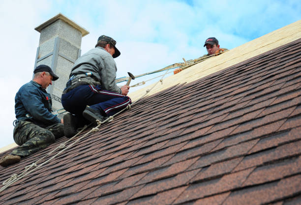 Best Storm Damage Roof Repair  in New Brunswick, NJ